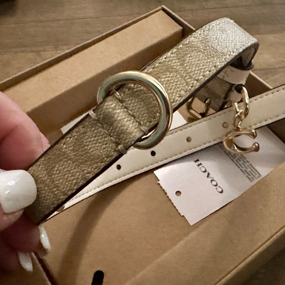 Coach Small Boxed Dog Pet Collar in Signature Canvas - Picture 4 of 8